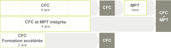 schema_formation_gen