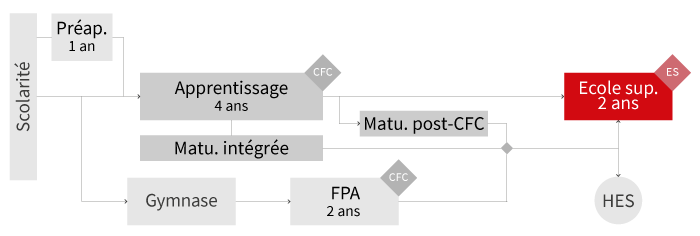 PlanFormationEcoleSuperieure
