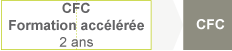 schema_formation_acceleree