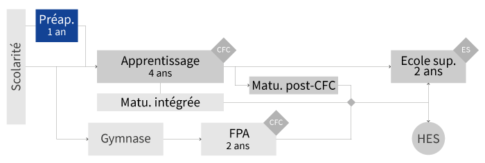 PlanFormationPreapprentissage